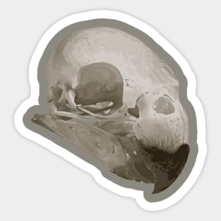 Parrot Skull Sticker